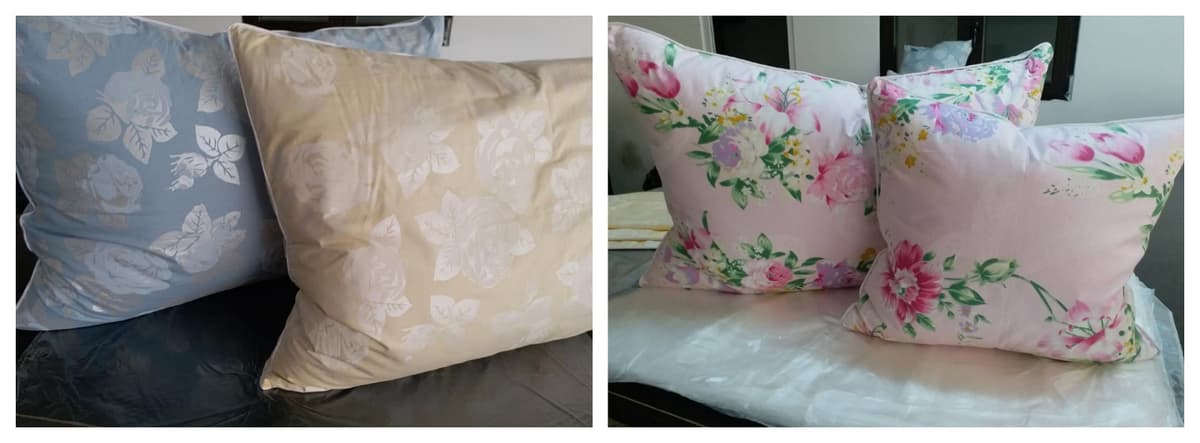 Perne curățate și pregătite pentru livrare